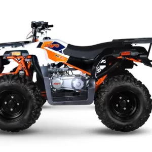 Quad Kayo AU180 HUMMER: 180cc 4 tempi, automatico - immagine 2