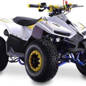 Quad LEM-GRIZZLY: 110CC - immagine 4