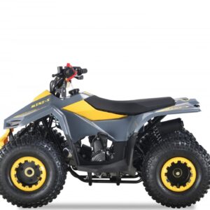 Quad LEM-GRIZZLY: 110CC - immagine 3