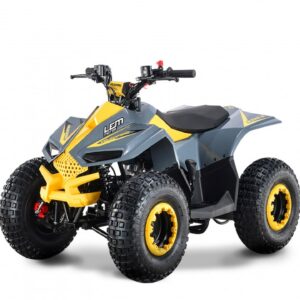 Quad LEM-GRIZZLY: 110CC - immagine 2