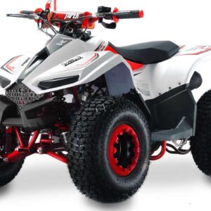 Quad LEM-GRIZZLY: 110CC - immagine 1