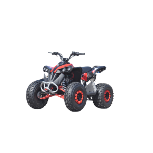 QUAD ATV RENEGADE XXL: 125cc, R8"